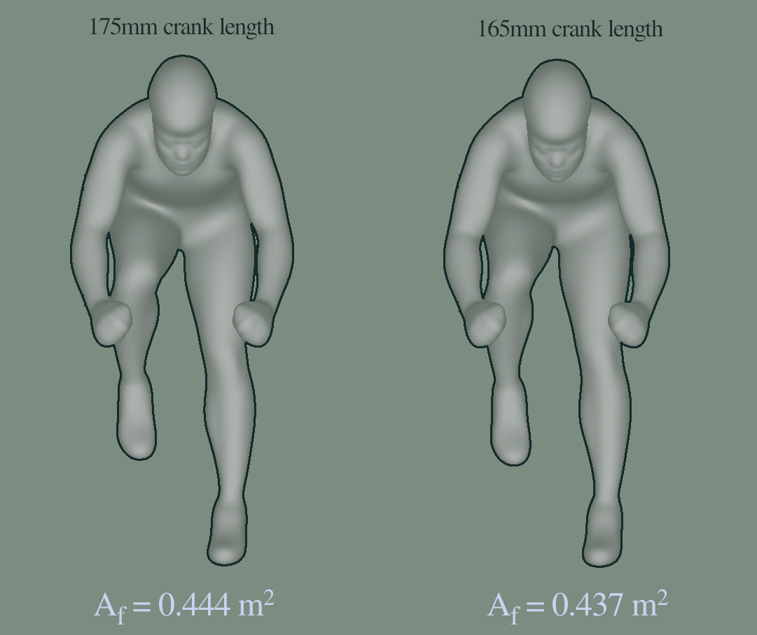 Frontal area measures for the two postures